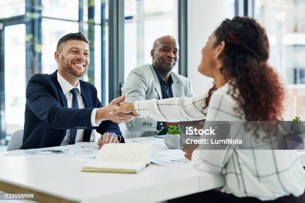 Professional business handshake - executive search